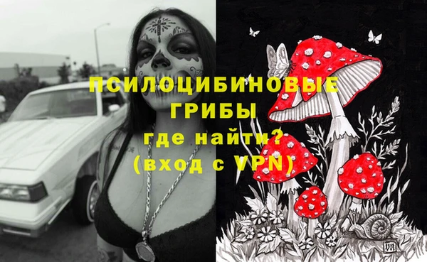 крисы Ладушкин